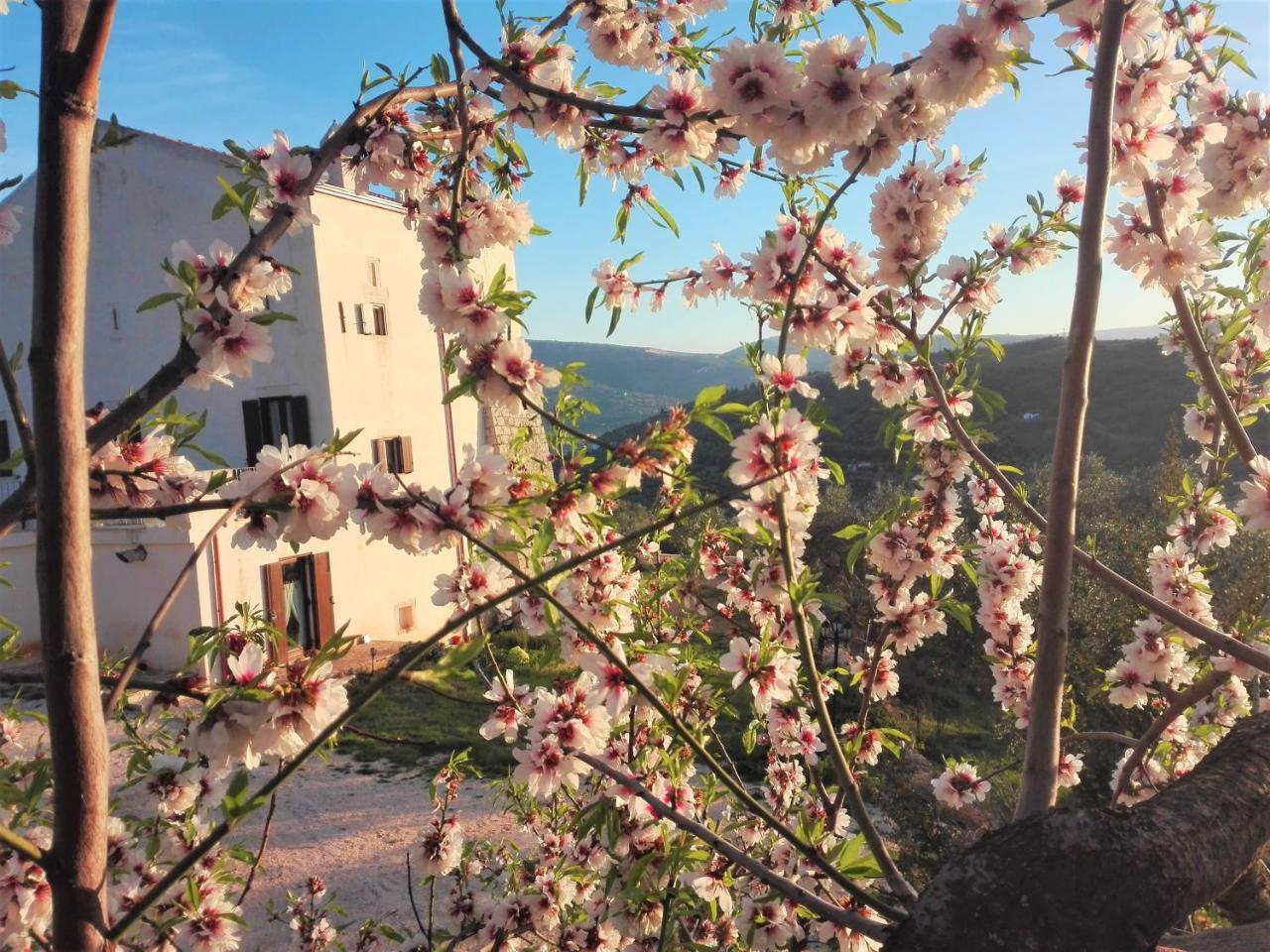 Villa Torre Bruno à Carpino Extérieur photo